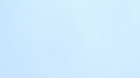 EE.UU. sale oficialmente de la OMS.