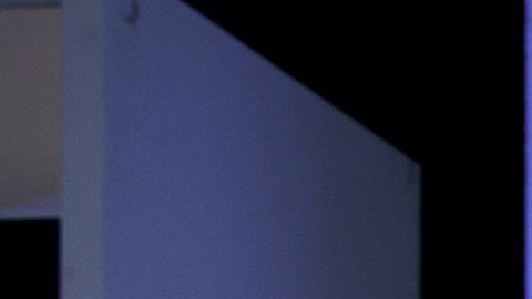 Odalys Ramírez y Patricio Borghetti sellan su amor después de 15 años de relación