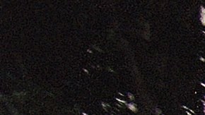 Members of the Los Angeles Police Department clear the street in front of the Criminal Courts Building, Tuesday, Oct. 3, 1995 in Los Angeles, before the verdict is announced in the O.J. Simpson double-murder trial. (AP Photo/Elise Amendola)