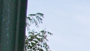 Federal Agents, several with Enforcement and Removal Operations (ERO), a part of U.S. Immigration and Customs Enforcement (ICE), regroup before heading out on an operation, Monday, Sept. 29, 2025, in a residential neighborhood in northwest Washington. (AP Photo/Jacquelyn Martin)