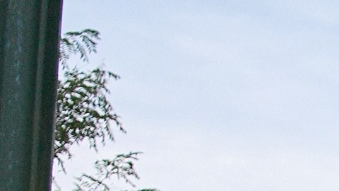 Federal Agents, several with Enforcement and Removal Operations (ERO), a part of U.S. Immigration and Customs Enforcement (ICE), regroup before heading out on an operation, Monday, Sept. 29, 2025, in a residential neighborhood in northwest Washington. (AP Photo/Jacquelyn Martin)