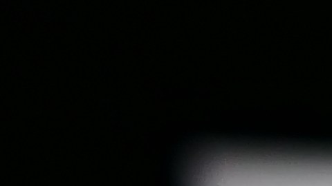 Página del Seguro Social