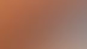 Pedro Inzunza Noriega