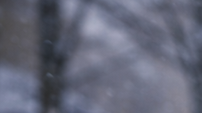 Persona caminando sobre una calle cubierta de nieve durante una tormenta invernal, con temperaturas bajo cero.