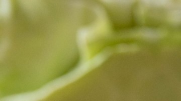 Tesoros nutricionales en tu despensa: alimentos sencillos que cuidan tu salud sin vaciar tu bolsillo