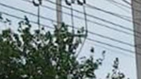 Policía de Chihuahua