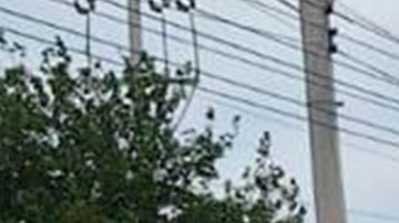 Policía de Chihuahua