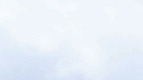 Prohibición de Trump: inversores no podrán comprar casas unifamiliares