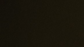 Los Angeles city hall is seen as demonstrators hold signs during a protest in response to the fatal shooting of 37-year-old Alex Pretti in Minneapolis earlier in the day Saturday, Jan. 24, 2026, in Los Angeles. (AP Photo/Caroline Brehman)