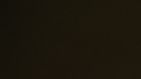 Los Angeles city hall is seen as demonstrators hold signs during a protest in response to the fatal shooting of 37-year-old Alex Pretti in Minneapolis earlier in the day Saturday, Jan. 24, 2026, in Los Angeles. (AP Photo/Caroline Brehman)