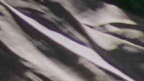 Trump busca que cualquier acción militar en Irán sea “rápida y decisiva”: NBC