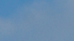 Productos asequibles de Publix para jubilados este invierno por menos de $20