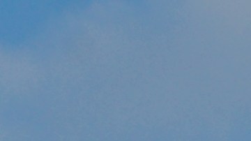 Productos asequibles de Publix para jubilados este invierno por menos de $20