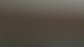 Randy Fine, representante por Florida