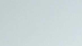 Raúl Rocha Miss Universo