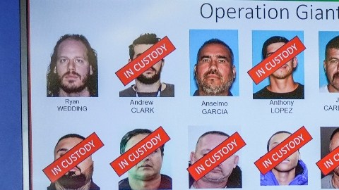 Red criminal de Ryan Wedding