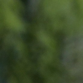 Protestas por la muerte de Renee Good