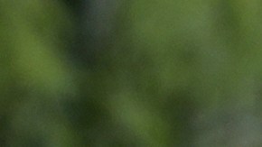 Protestas por la muerte de Renee Good