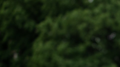 La forma cómo respiras dice mucho de tus emociones