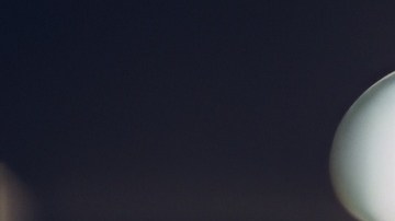 Retiran del mercado suplemento “supergreens” por riesgo de contaminación con salmonela