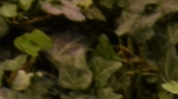 Retiro de minineveras Frigidaire vendidas en grandes tiendas alcanza cifra récord