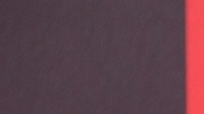 Rob Schneider Patricia Azarcoya