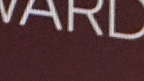 Janelle James y Connor Storrie revelaron a los nominados de la edición número 32 de los SAG Awards 2026.