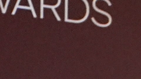 Janelle James y Connor Storrie revelaron a los nominados de la edición número 32 de los SAG Awards 2026.