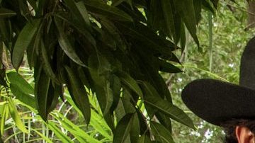 Genaro parece estar en problemas ahora que Pedro tiene más poder.