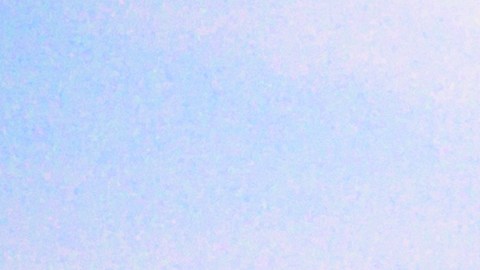 Montañas rusas de SeaWorld Orlando junto al lago al atardecer en enero de 2026