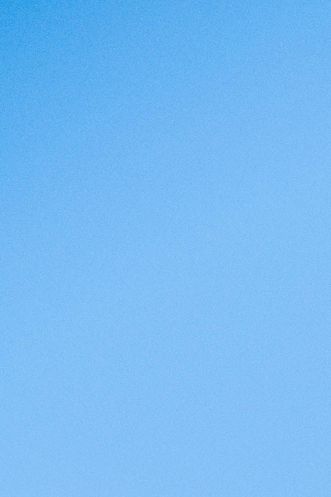 Pipeline: The Surf Coaster