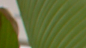 Sector privado en EE.UU. generó menos empleos de lo esperado en diciembre, según ADP