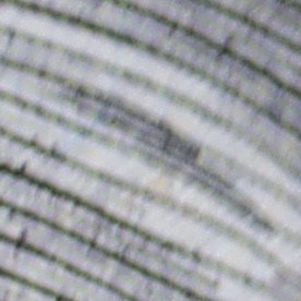 Seguro Social, pago sorpresa en enero