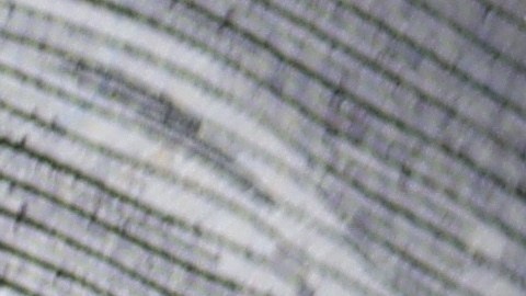 Seguro Social, pago sorpresa en enero