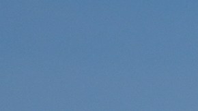 Senadores demócratas exigen al DOJ abrir investigación de derechos civiles por la muerte de Renee Good