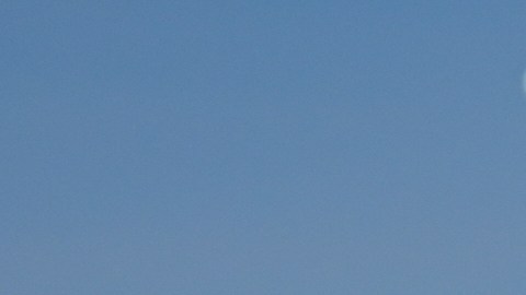 Senadores demócratas exigen al DOJ abrir investigación de derechos civiles por la muerte de Renee Good