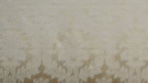 Sheinbaum asegura que tuvo “muy buena conversación” con Donald Trump