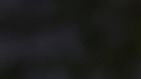 Sale a la luz la primera imagen de Sophie Turner como "Lara Croft".