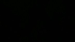 Tarjeta de crédito Bilt