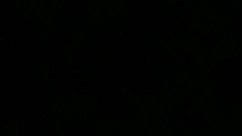 Tarjeta de crédito Bilt