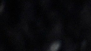 "Encontrar una amiga en esta carrera no es fácil": Thalía dedica emotivo mensaje a Yuri