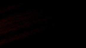 Conoce a todos los nominados de la 98ª edición de los Premios Oscar.