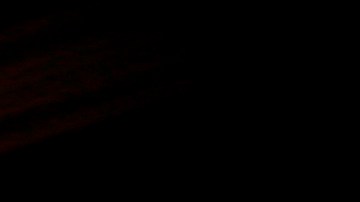 Conoce a todos los nominados de la 98ª edición de los Premios Oscar.