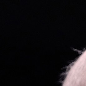 Tim Walz, gobernador de Minnesota