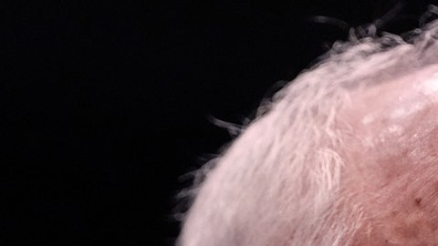 Tim Walz, gobernador de Minnesota