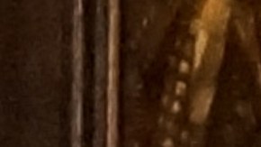 Tim Walz arremete contra Trump y afirma que el estado está "bajo ataque"