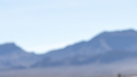 Tom Homan, zar fronterizo