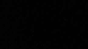 Tom Homan asegura que no "renunciarán" a la misión migratoria de Trump