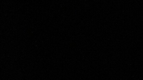 Tom Homan asegura que no "renunciarán" a la misión migratoria de Trump