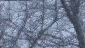 FEMA se coordina con estados por tormenta invernal.